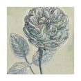 thumbnail image 1 of Trademark Fine Art 'Belle Fleur III' Canvas Art by Sue Schlabach, 1 of 3