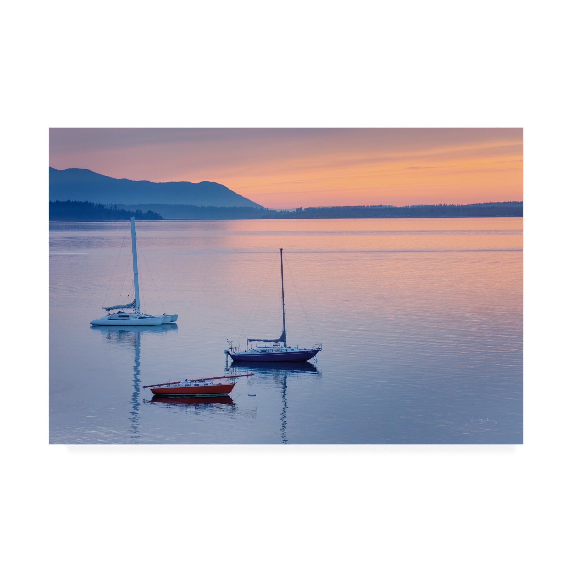 Trademark Fine Art 'Bellingham Bay' Canvas Art by Alan Majchrowicz