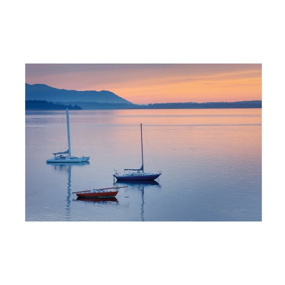 Trademark Fine Art 'Bellingham Bay' Canvas Art by Alan Majchrowicz