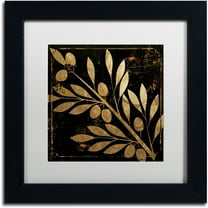 Trademark Fine Art "Bellissima I" Canvas Art by Color Bakery White Matte, Black Frame