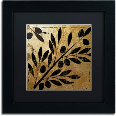 Trademark Fine Art "Bellissima II" Canvas Art by Color Bakery Black Matte, Black Frame