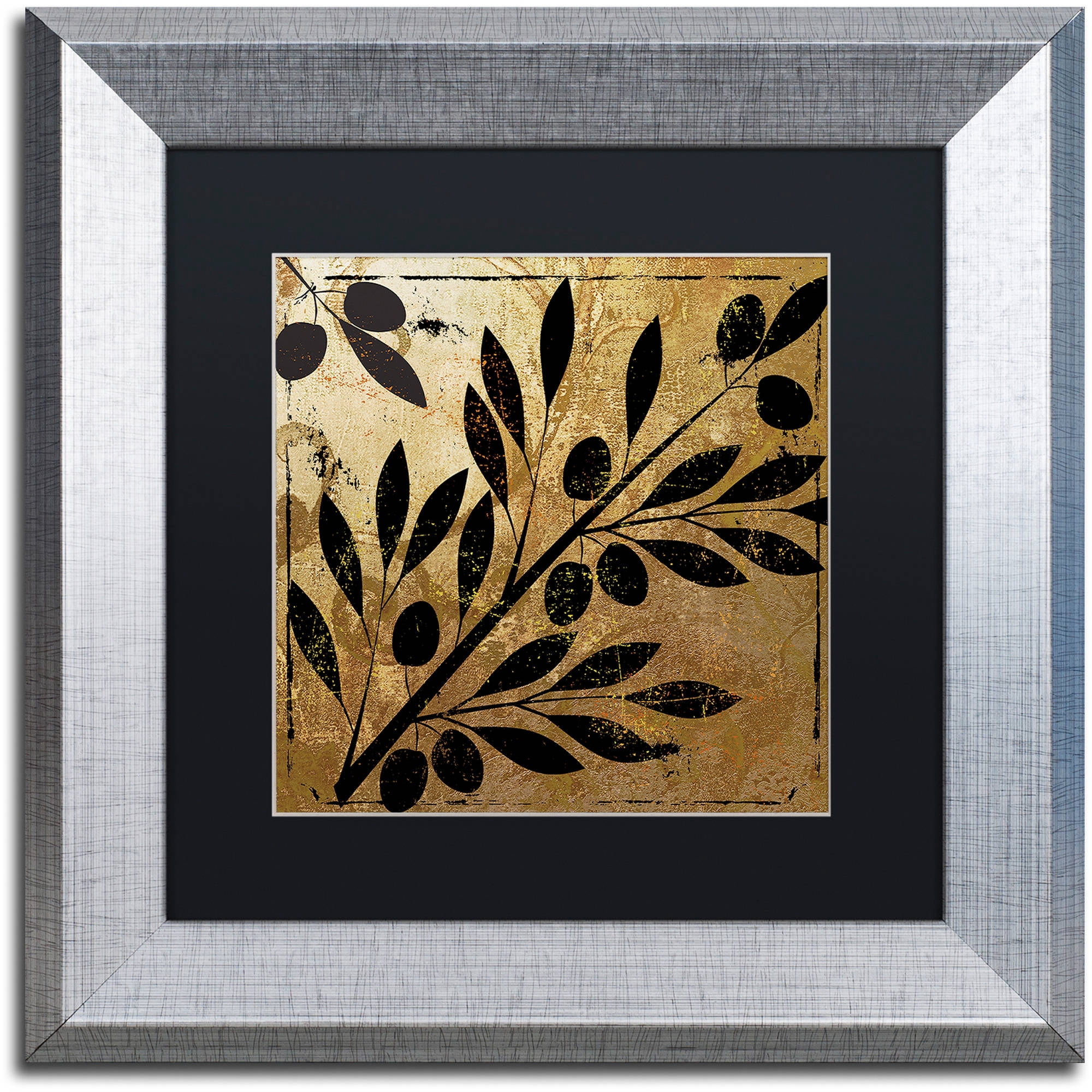 Trademark Fine Art "Bellissima II" Canvas Art by Color Bakery Black Matte, Silver Frame