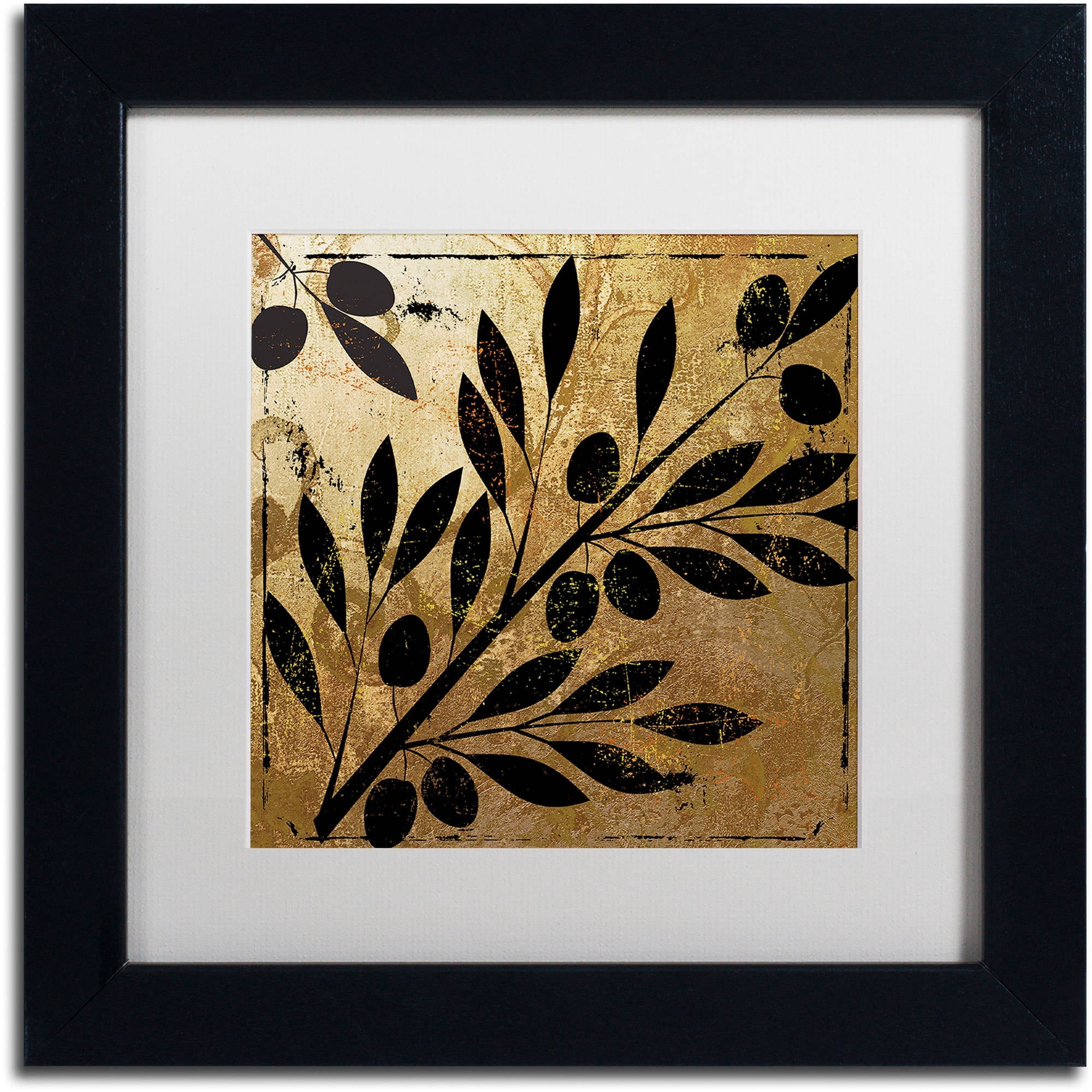 Trademark Fine Art "Bellissima II" Canvas Art by Color Bakery White Matte, Black Frame