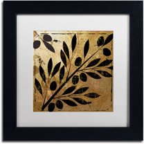 Trademark Fine Art "Bellissima II" Canvas Art by Color Bakery White Matte, Black Frame