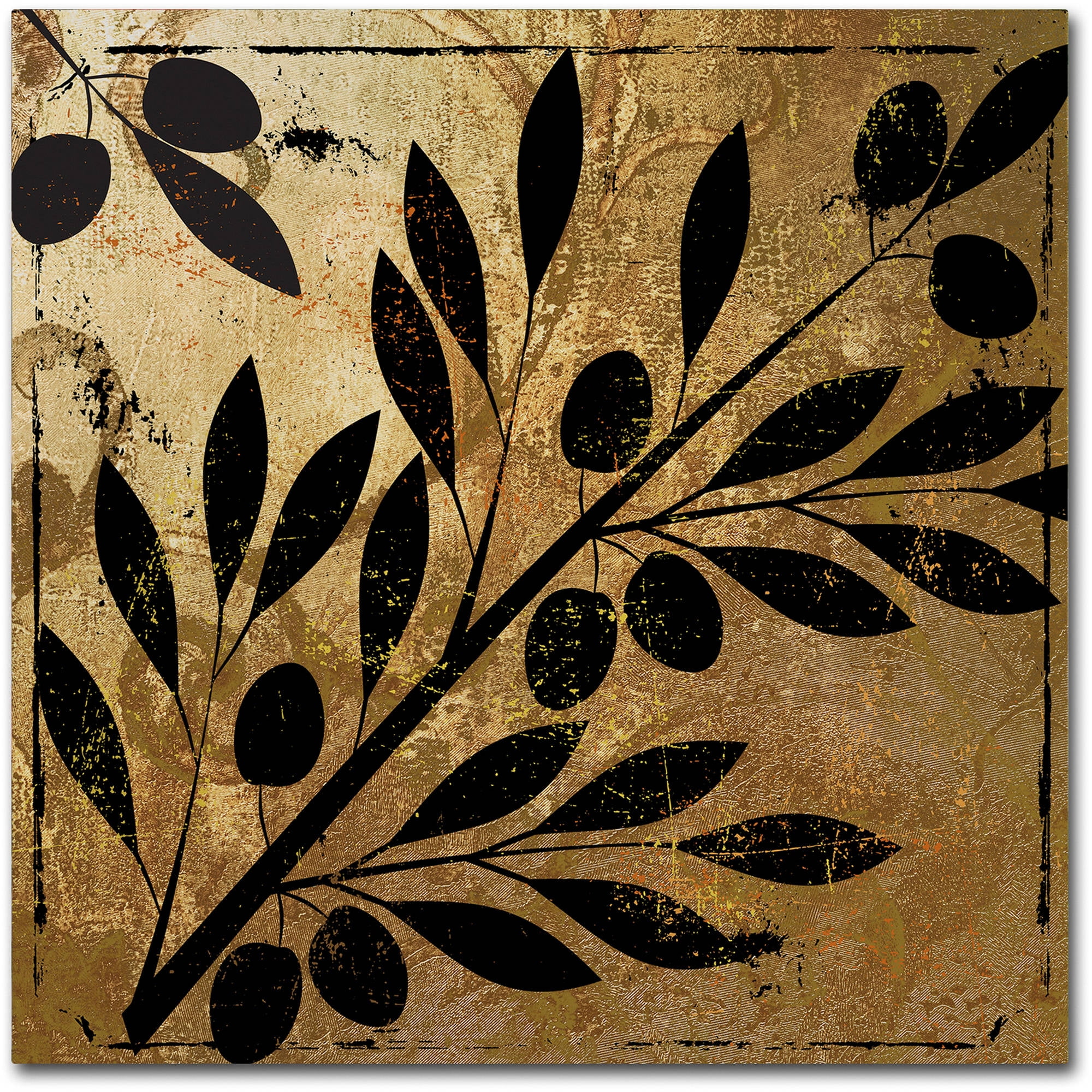Trademark Fine Art "Bellissima II" Canvas Art by Color Bakery