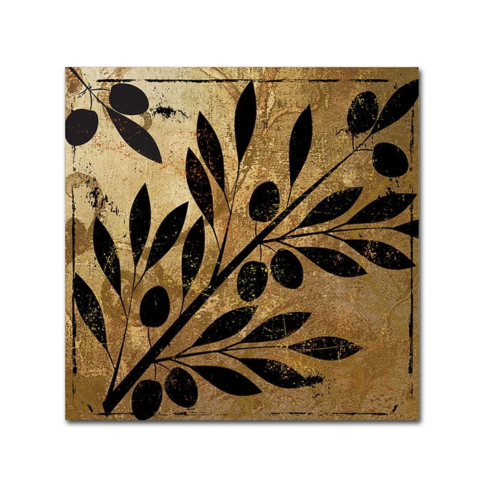 Trademark Fine Art "Bellissima II" Canvas Art by Color Bakery
