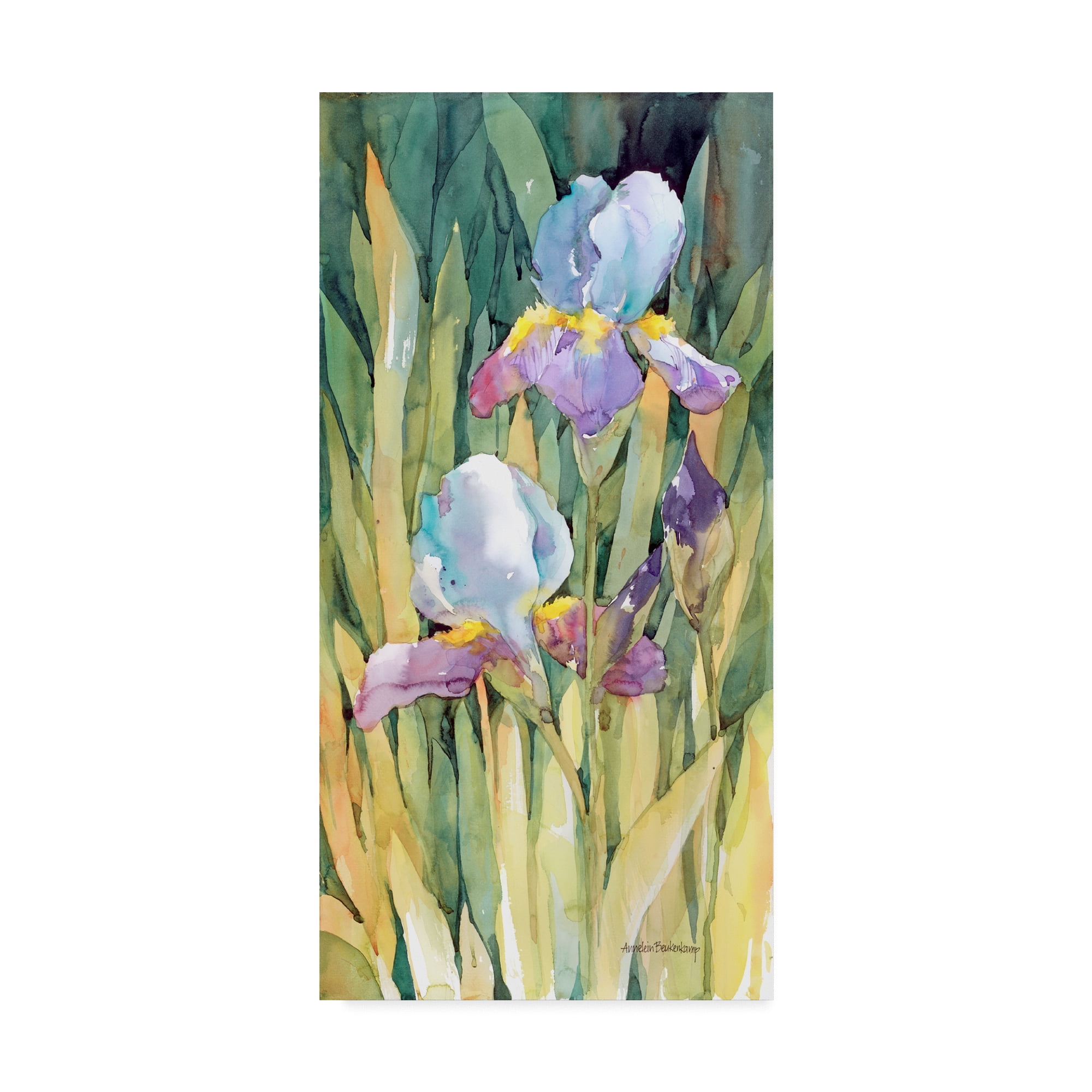 Multicolor Floral Gallery-Wrapped Canvas Art 19" x 10"