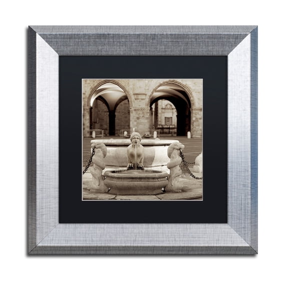 Trademark Fine Art "Bergamo I" Canvas Art by Alan Blaustein, Black Matte, Silver Frame