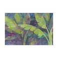 thumbnail image 1 of Trademark Fine Art 'Bermuda Palms' Canvas Art by Albena Hristova, 1 of 3