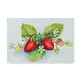 thumbnail image 1 of Trademark Fine Art 'Berry Border' Canvas Art by Joanne Porter, 1 of 1