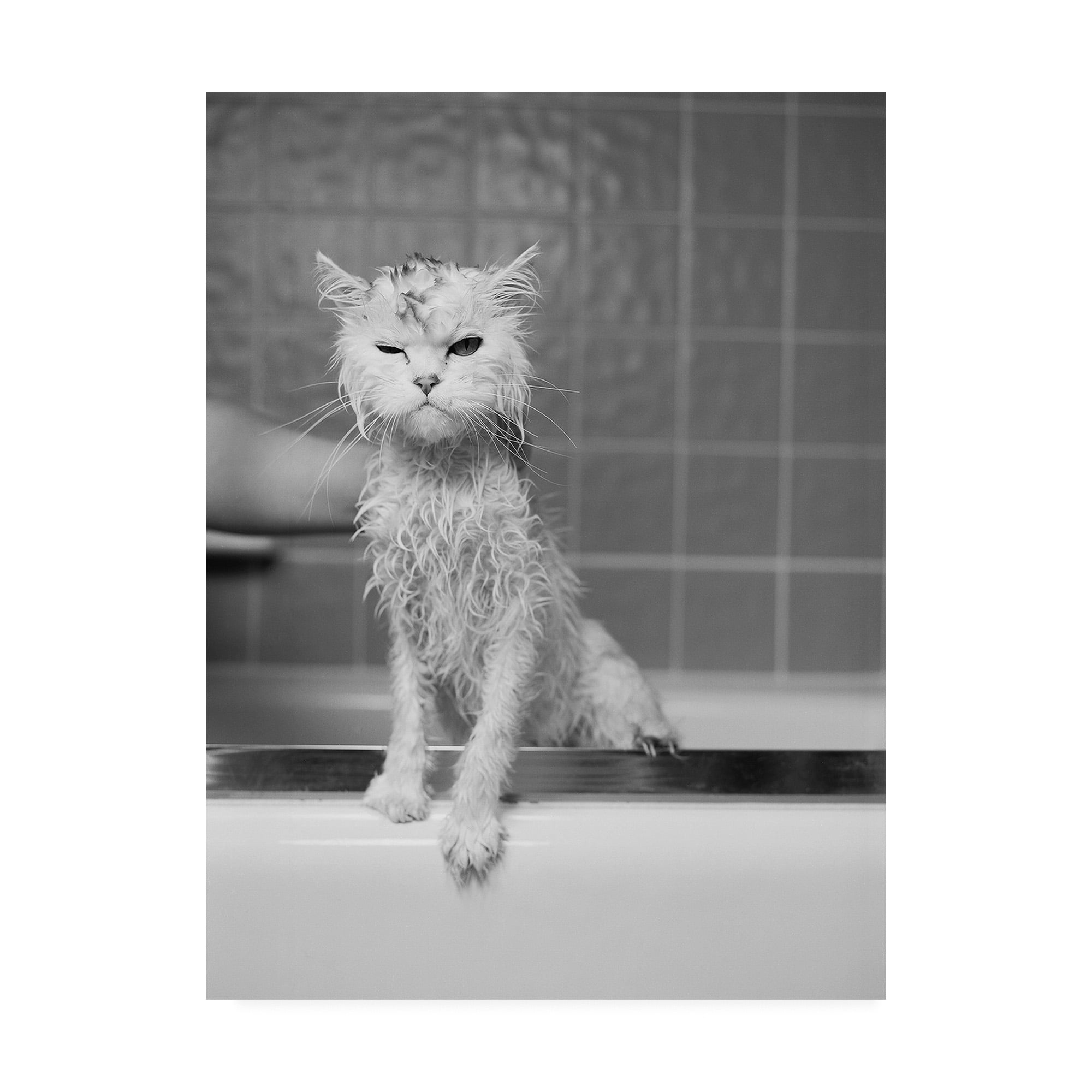 Trademark Fine Art 'Berts Bath' Canvas Art by James Fla