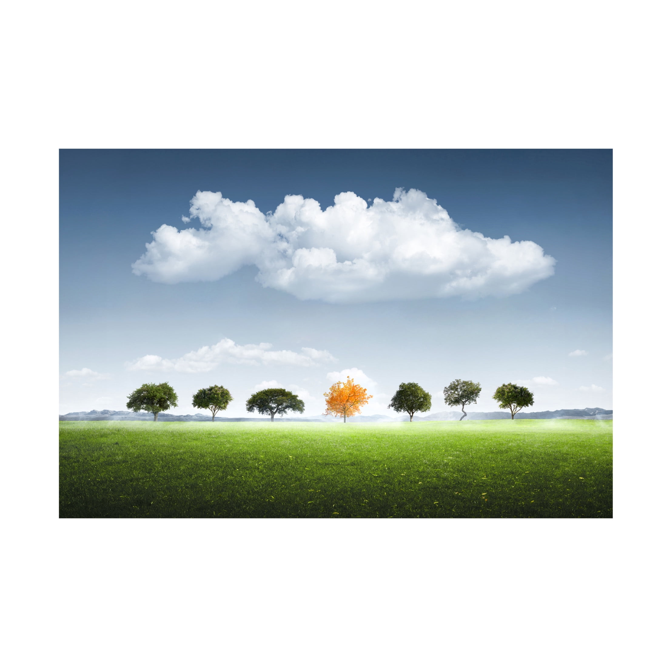 Trademark Fine Art Bess Hamiti Seven Tree Canvas Wall Art
