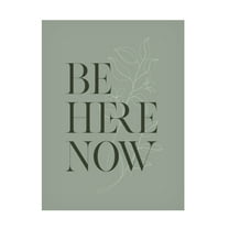 Trademark Fine Art Beth Cai  Be Here Now No1 Canvas Wall Art