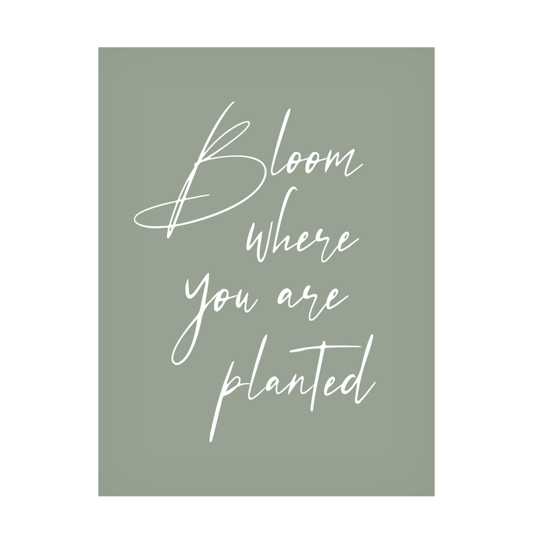 Trademark Fine Art Beth Cai Bloom Canvas Wall Art
