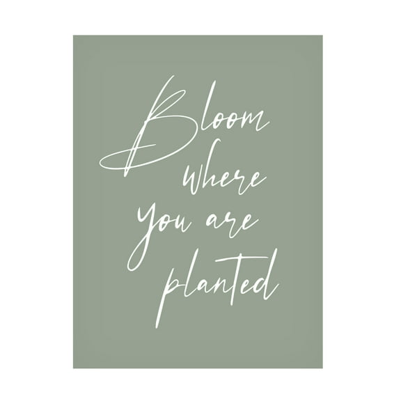 Trademark Fine Art Beth Cai Bloom Canvas Wall Art