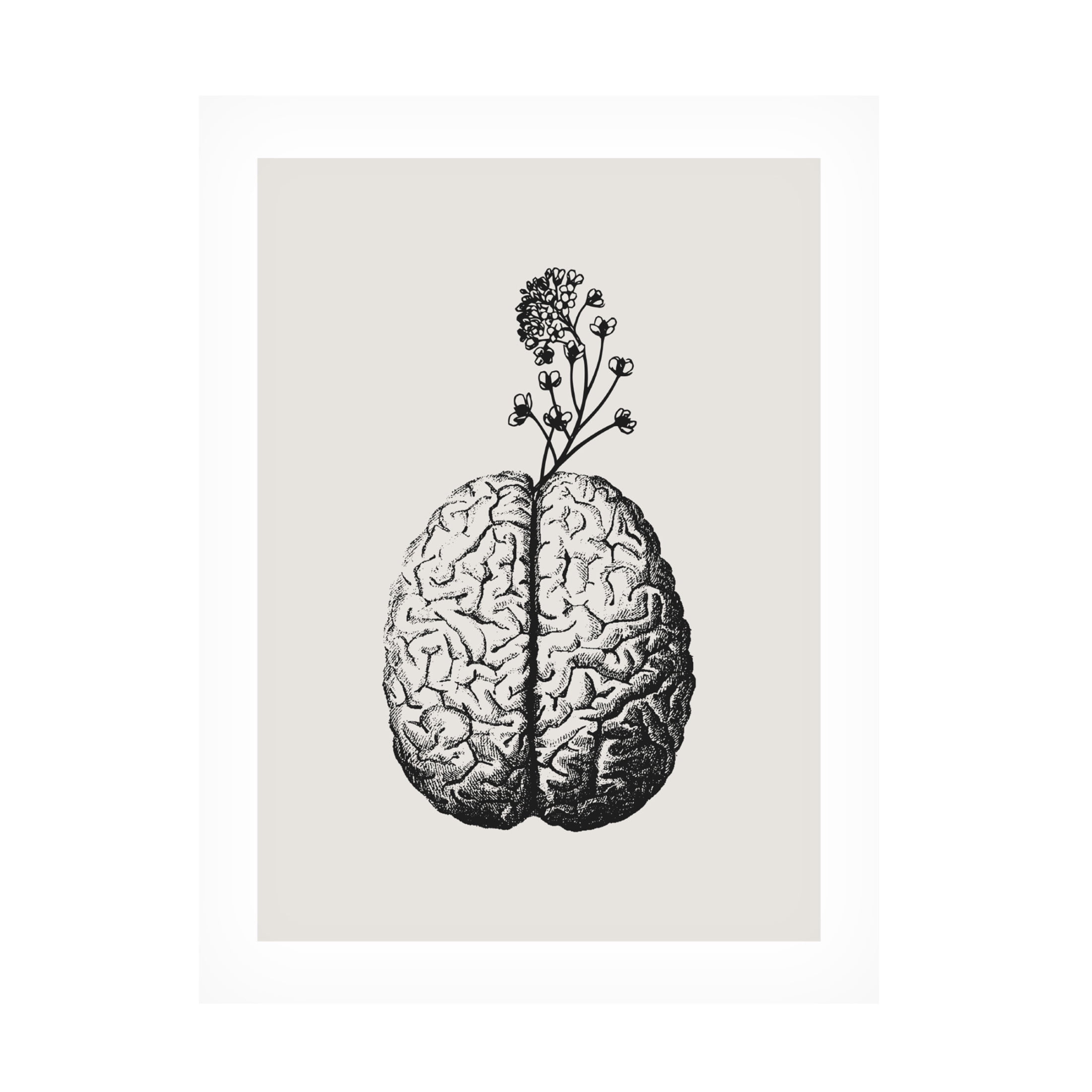 Trademark Fine Art Beth Cai  Brain Bloom Canvas Wall Art