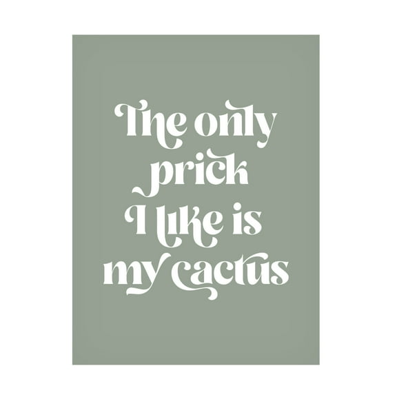 Trademark Fine Art Beth Cai  Cactus Prick Canvas Wall Art