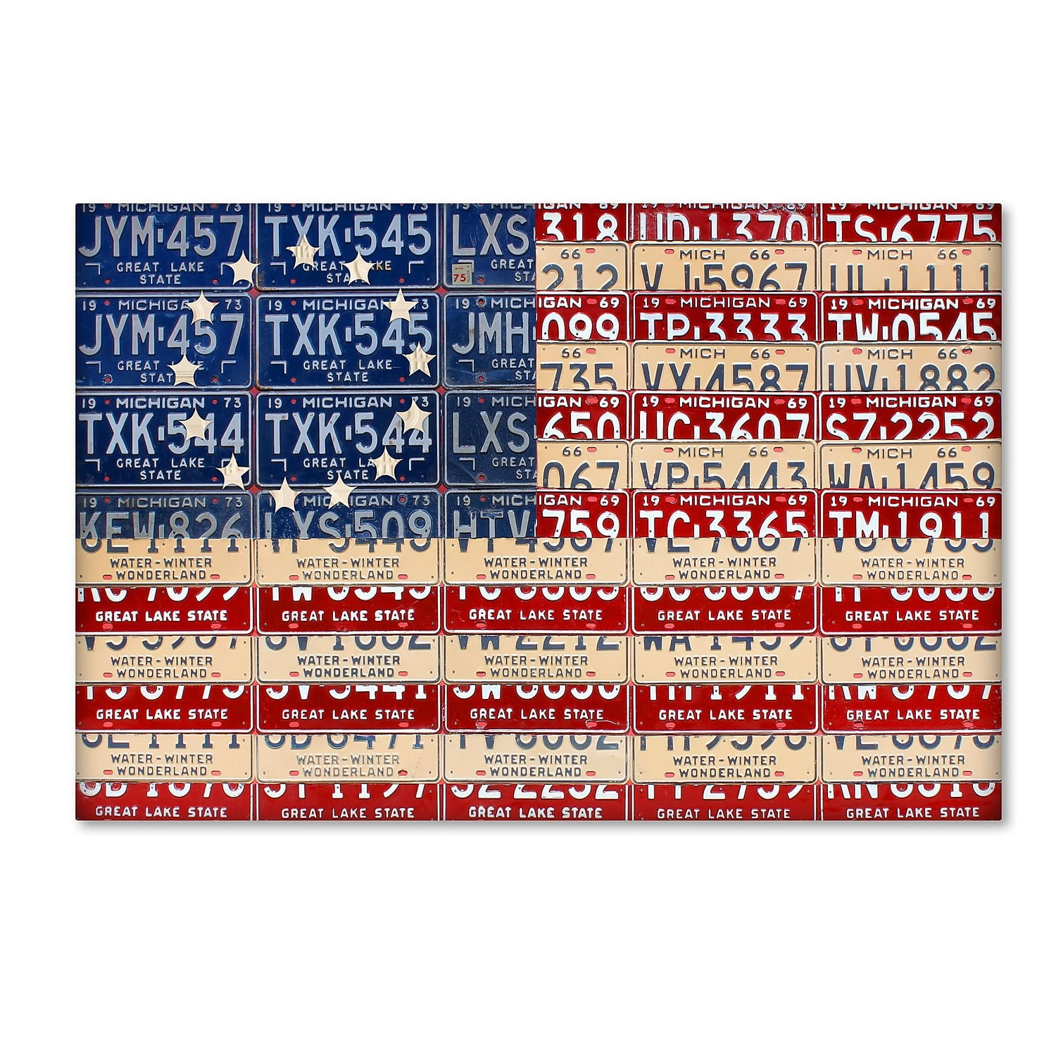 Large Red, White, and Blue License Plate Canvas Art