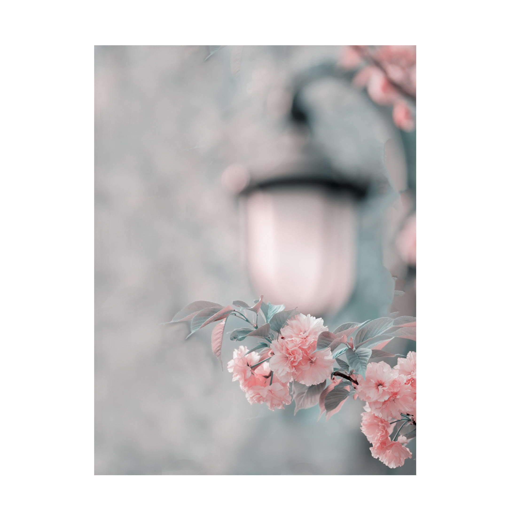Trademark Fine Art Betty Liu Cherry blossom under street lamp Canvas Wall Art