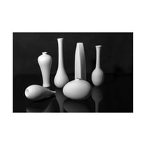 Trademark Fine Art Betty Liu Still Life Canvas Wall Art