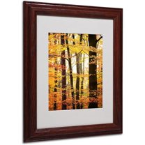 Trademark Fine Art "Between Us" Canvas Art by Philippe Sainte-Laudy, Wood Frame