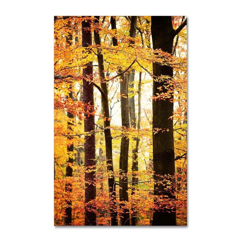 Trademark Fine Art "Between Us" Canvas Art by Philippe Sainte-Laudy