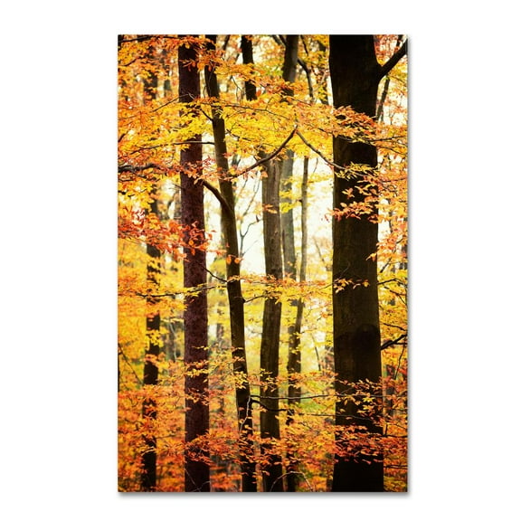 Trademark Fine Art "Between Us" Canvas Art by Philippe Sainte-Laudy