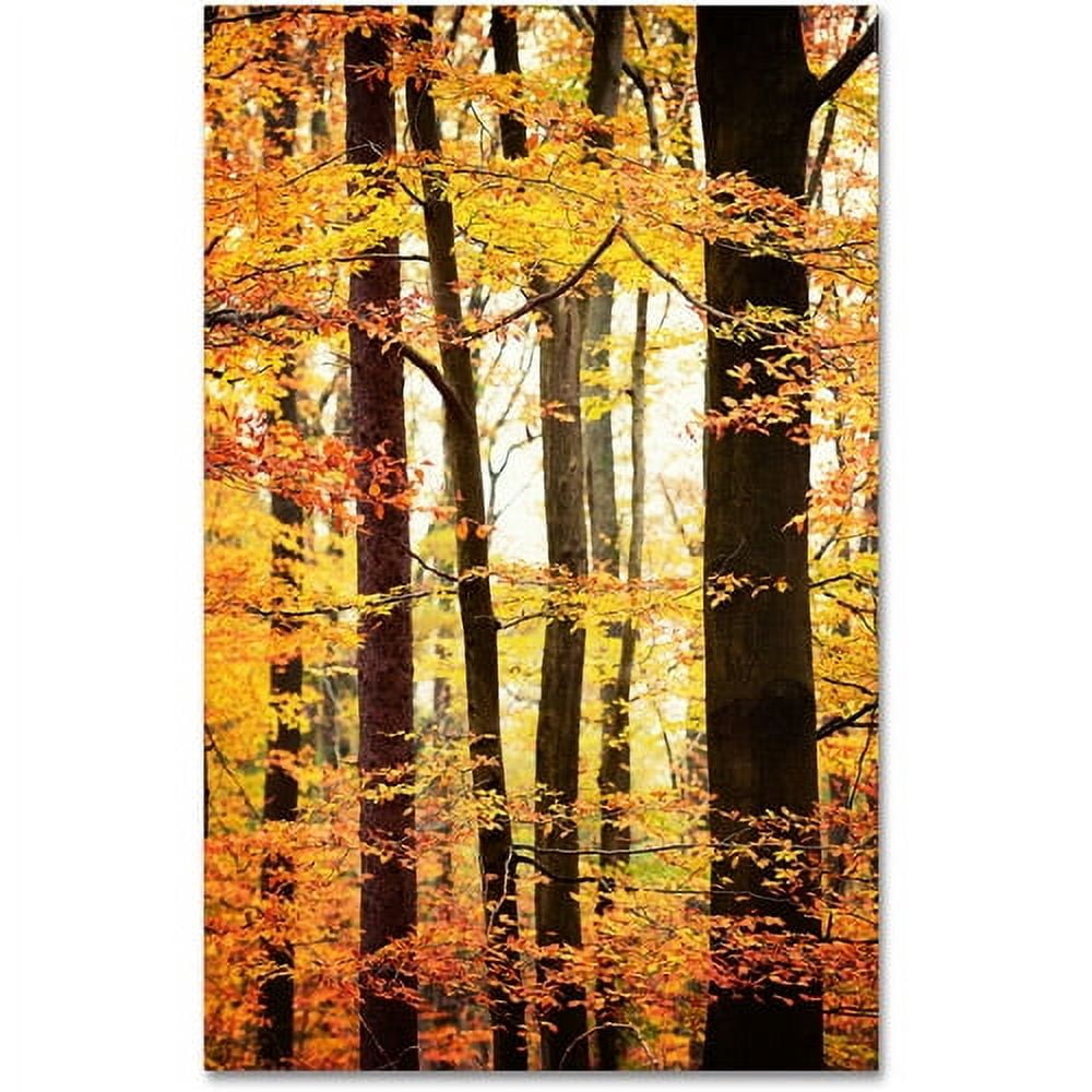 Trademark Fine Art "Between Us" Canvas Art by Philippe Sainte-Laudy
