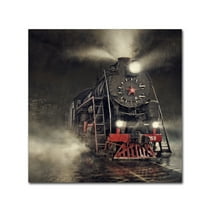 Trademark Fine Art 'Beyond Express' Canvas Art by Dmitry Laudin