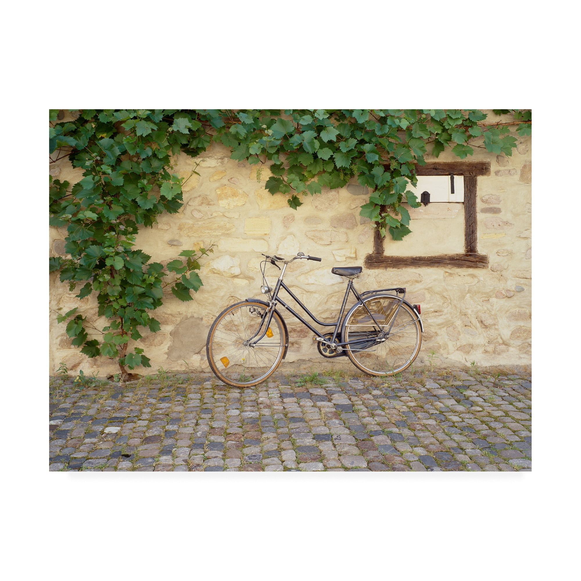 Trademark Fine Art 'Bicycle Turckheim France Color' Canvas Art by Monte Nagler
