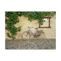 Trademark Fine Art 'Bicycle Turckheim France Color' Canvas Art by Monte Nagler