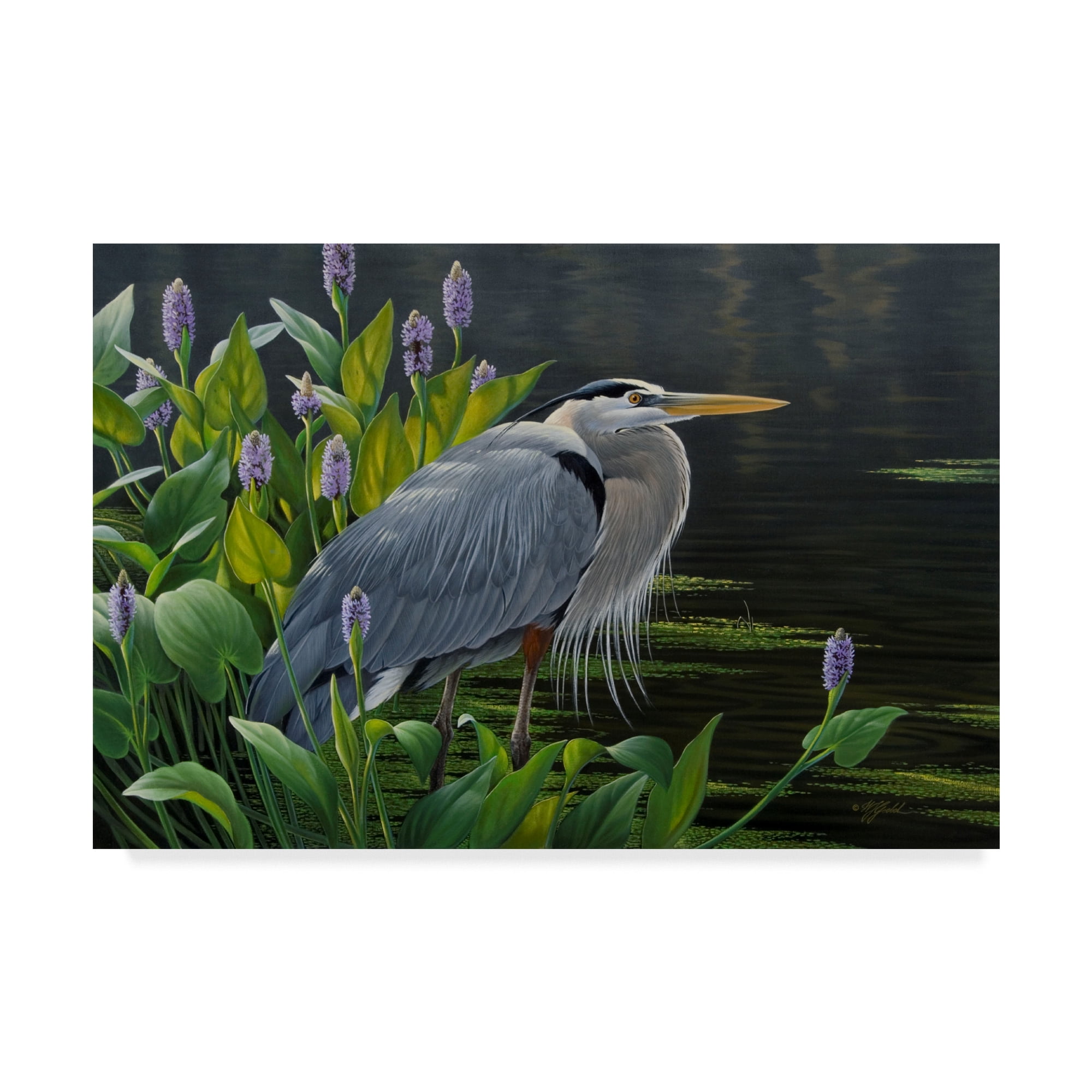 Trademark Fine Art 'Biding Time Great Blue Heron' Canvas Art by Wilhelm Goebel