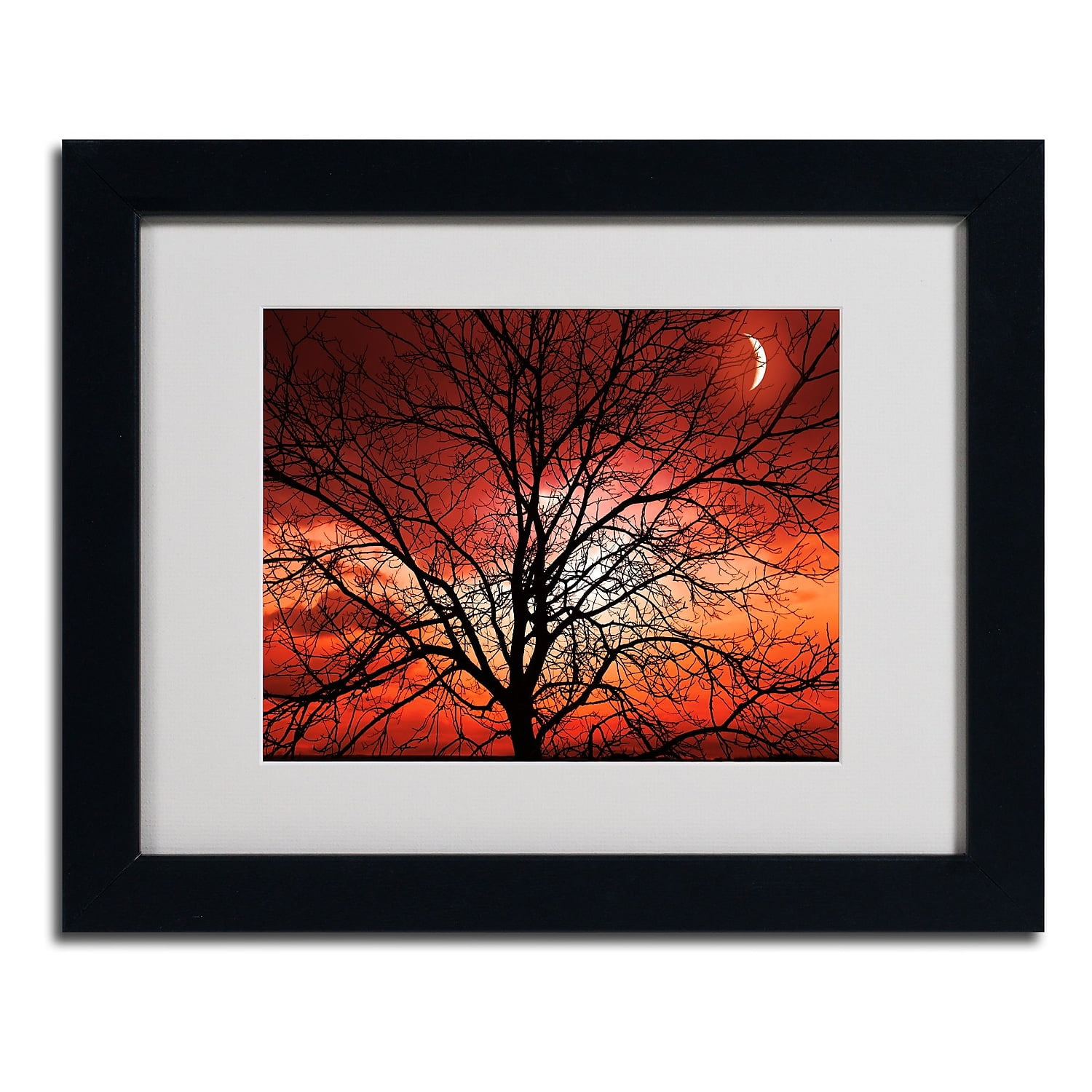Big Bad Moon Black Framed Photographic Print on Canvas