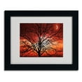thumbnail image 1 of Trademark Fine Art "Big Bad Moon" Canvas Art by Philippe Sainte-Laudy, Black Frame, 1 of 3