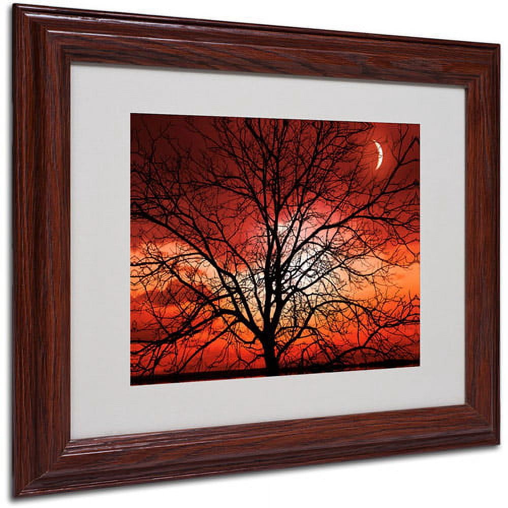 Trademark Fine Art "Big Bad Moon" Canvas Art by Philippe Sainte-Laudy, Wood Frame