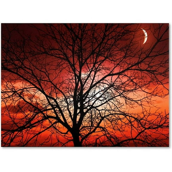 Trademark Fine Art "Big Bad Moon" Canvas Art by Philippe Sainte-Laudy