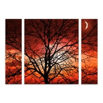 Trademark Fine Art 'Big Bad Moon' Canvas Art by Philippe Sainte-Laudy