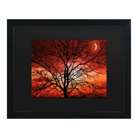 Trademark Fine Art 'Big Bad Moon' Canvas Art by Philippe Sainte-Laudy