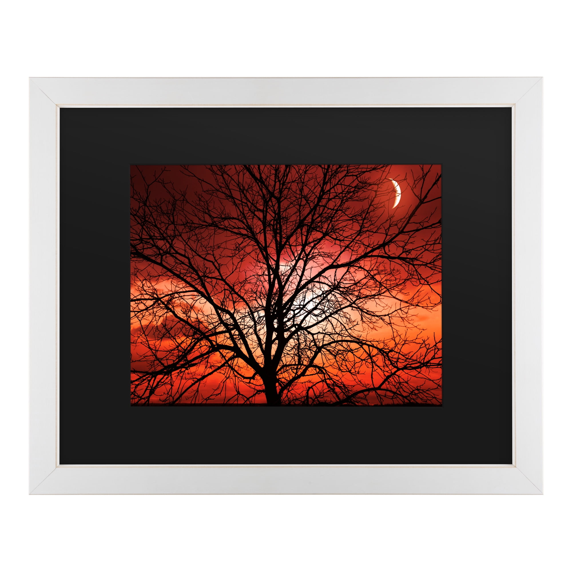 Trademark Fine Art 'Big Bad Moon' Canvas Art by Philippe Sainte-Laudy