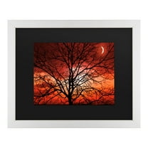 Trademark Fine Art 'Big Bad Moon' Canvas Art by Philippe Sainte-Laudy