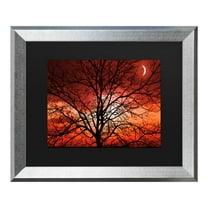 Trademark Fine Art 'Big Bad Moon' Canvas Art by Philippe Sainte-Laudy
