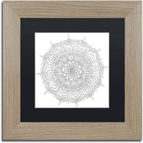 Trademark Fine Art "Big Beautiful Blossoms 15" Canvas Art by Hello Angel, Black Matte, Birch Frame