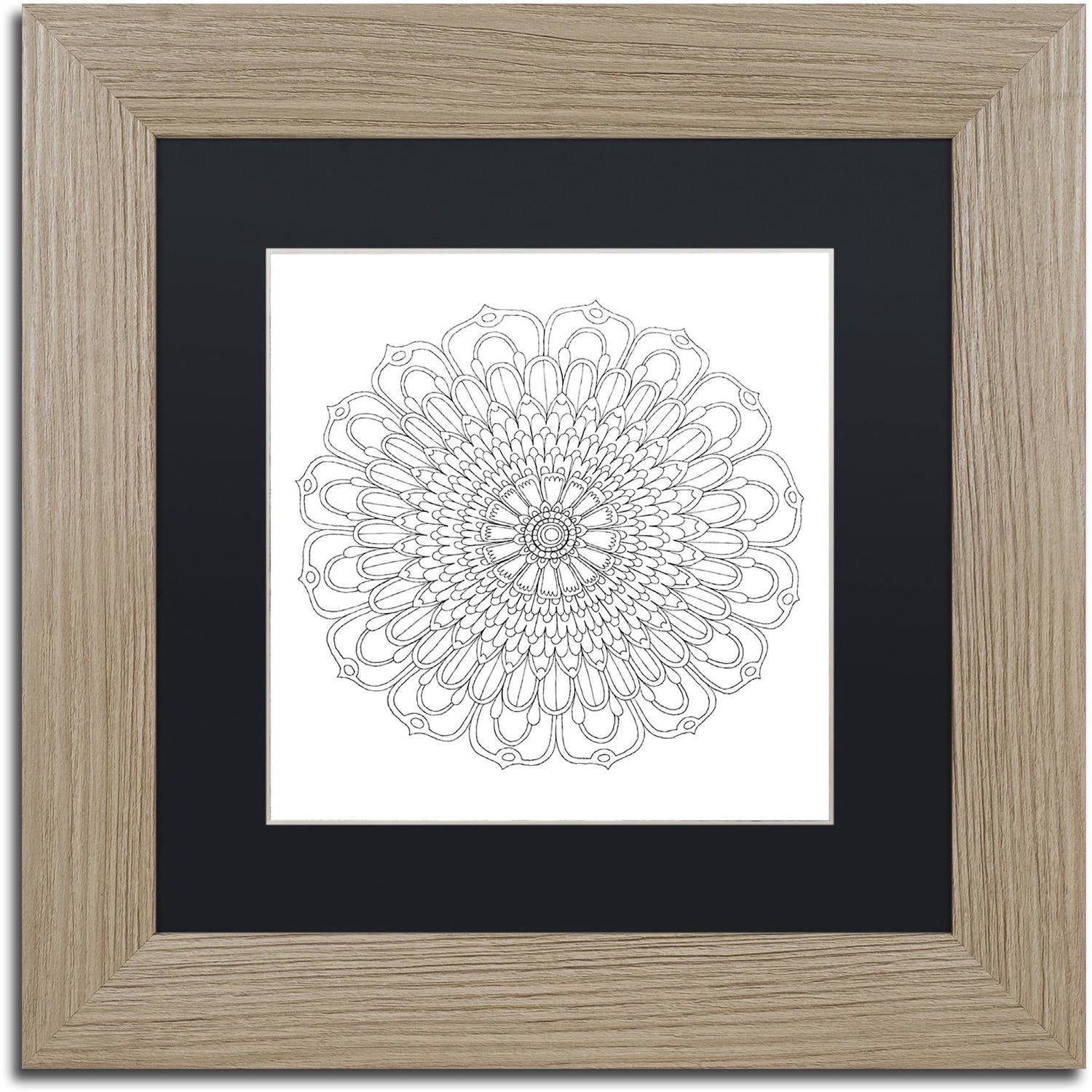 Trademark Fine Art "Big Beautiful Blossoms 29" Canvas Art by Hello Angel, Black Matte, Birch Frame