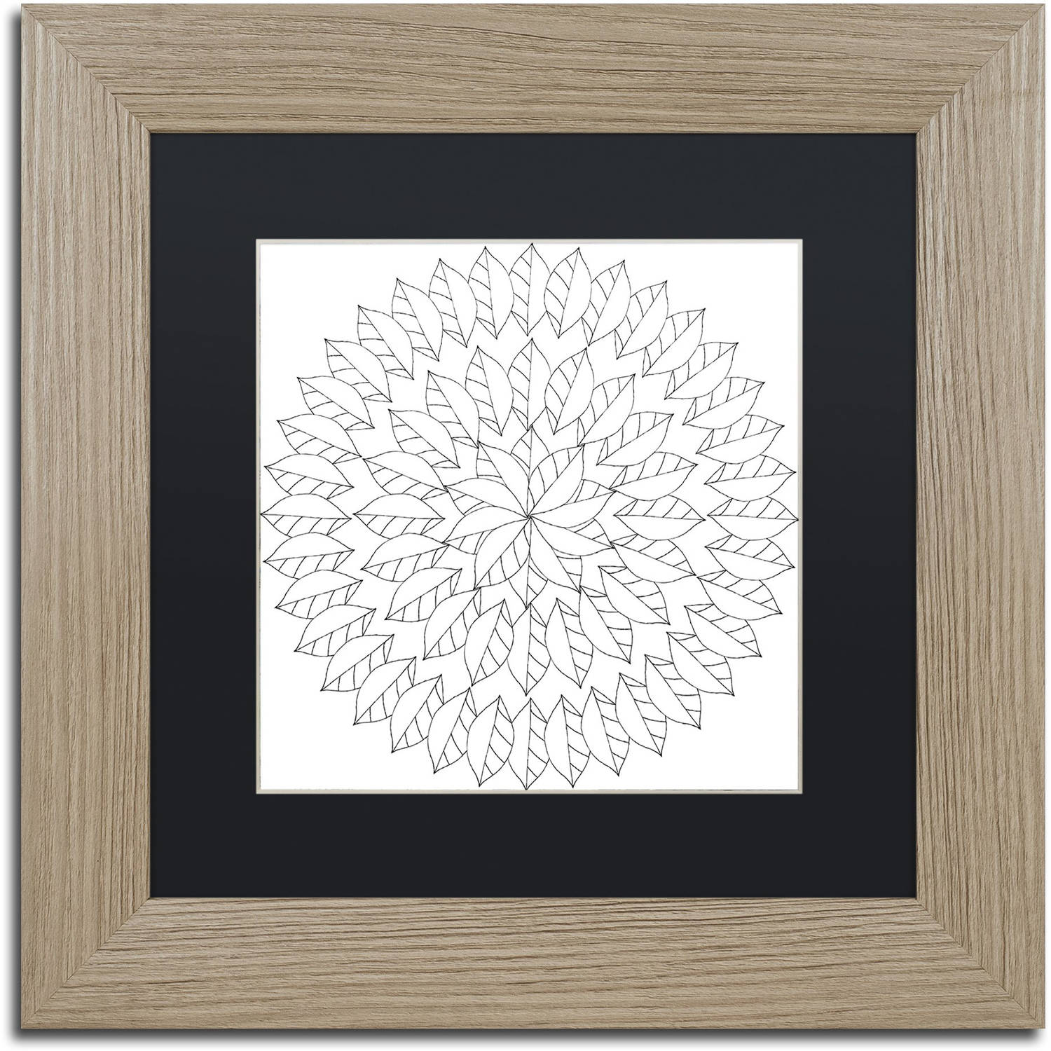 Trademark Fine Art "Big Beautiful Blossoms 8" Canvas Art by Hello Angel, Black Matte, Birch Frame