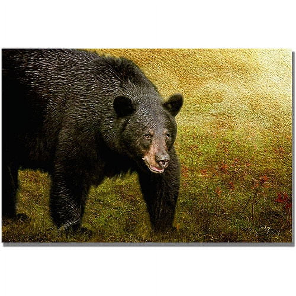 Large Black Bear Canvas Print with Wooden Frame