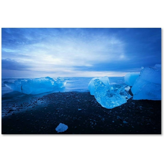 Trademark Fine Art 'Big Blue' Canvas Art by Philippe Sainte-Laudy