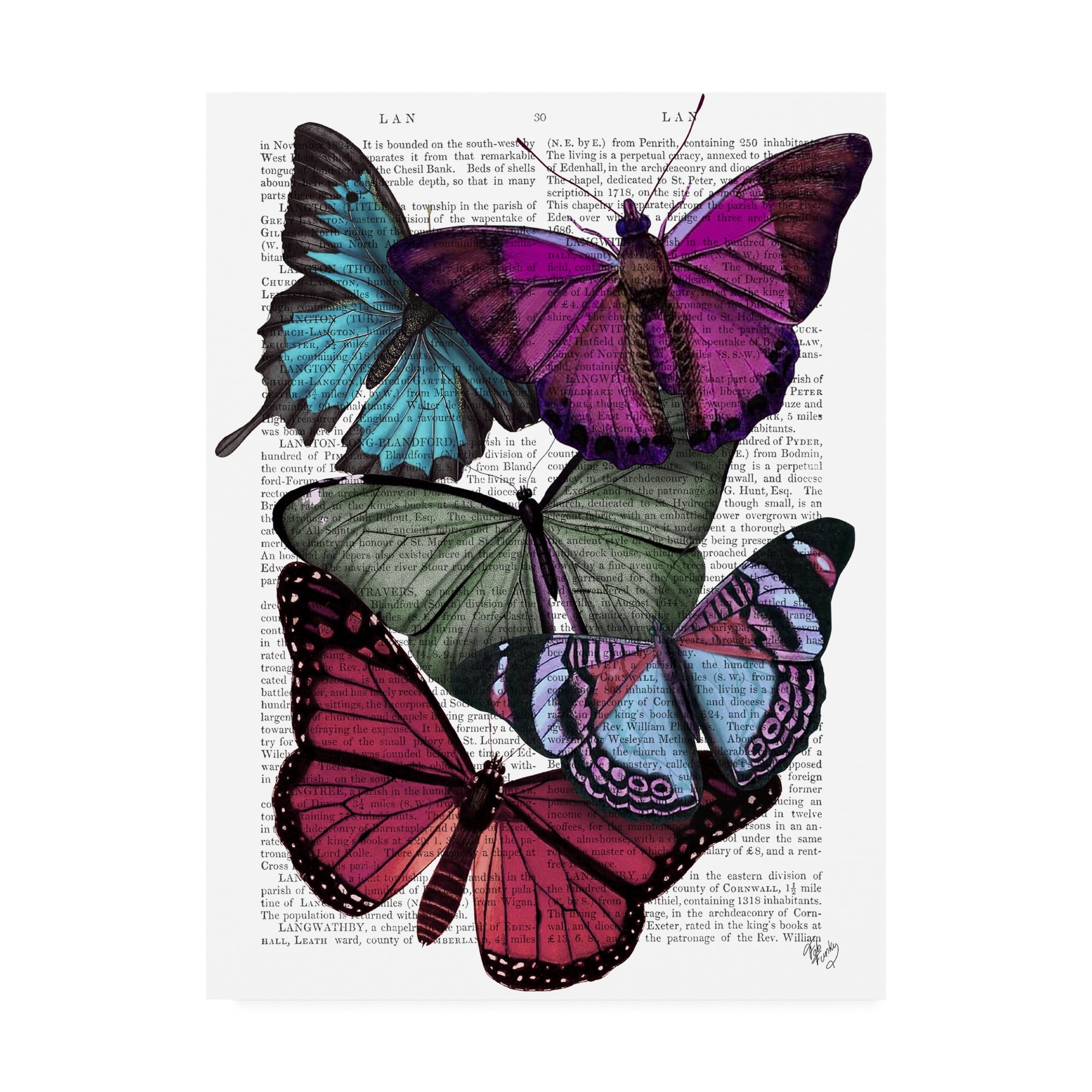 Colorful Butterfly Canvas Art on Book Page, 24x32