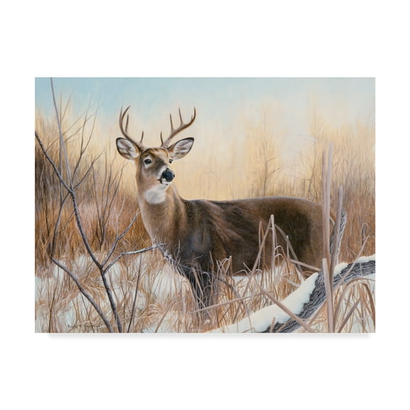 Trademark Fine Art 'Big Buck' Canvas Art by Rusty Frentner