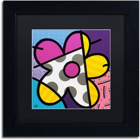 Trademark Fine Art 'Big Flower II' Canvas Art by Roberto Rafael, Black Matte, Black Frame
