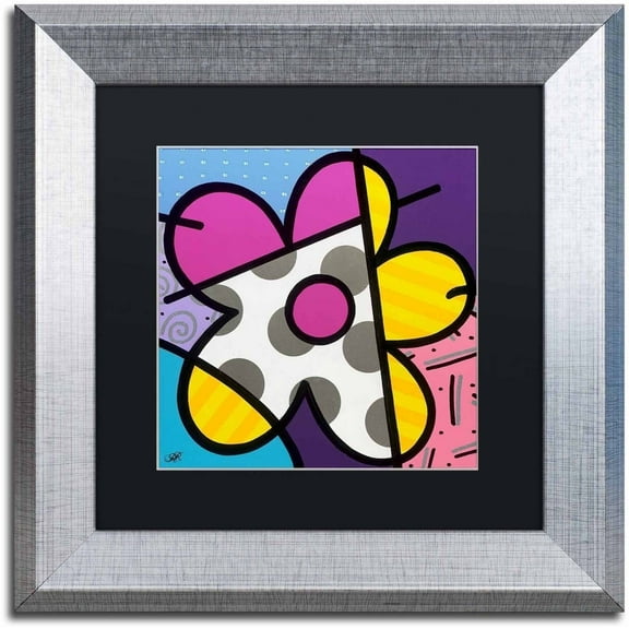 Trademark Fine Art 'Big Flower II' Canvas Art by Roberto Rafael, Black Matte, Silver Frame